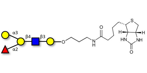 Blood group B antigen pentaose type 2 linked to biotin (Linker-BT B)