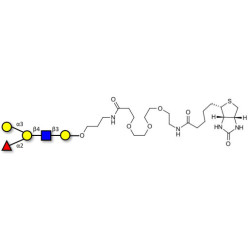 Blood group B antigen pentaose type 2 linked to biotin (Linker-BT C)
