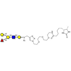 Blood group B antigen pentaose type 2 linked to desthiobiotin (Linker-DBT-A)