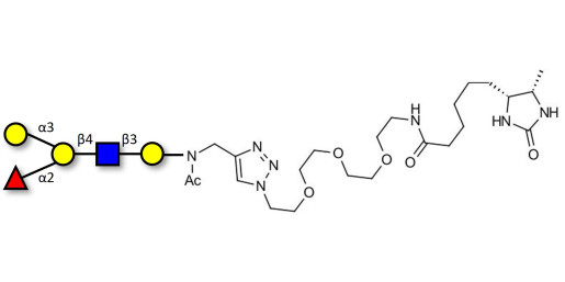 Blood group B antigen pentaose type 2 linked to desthiobiotin (Linker-DBT-A)