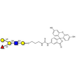 Blood group B antigen pentaose type 2 linked to fluorescein (Linker-FLUO A)