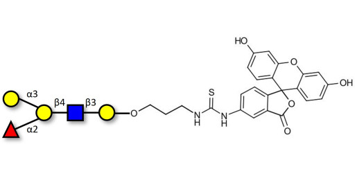 Blood group B antigen pentaose type 2 linked to fluorescein (Linker-FLUO A)