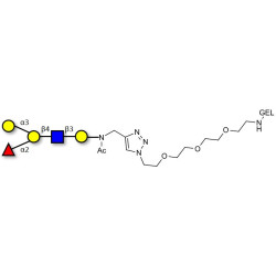 Blood group B antigen pentaose type 2 grafted on gel for affinity chromatography (Linker-GEL A)