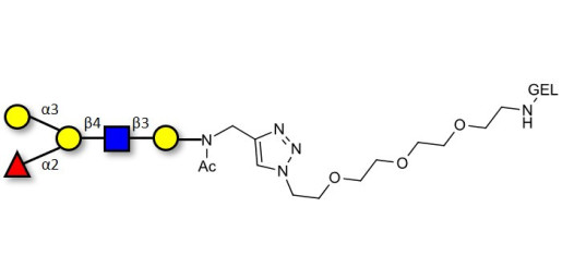 Blood group B antigen pentaose type 2 grafted on gel for affinity chromatography (Linker-GEL A)