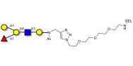 Blood group B antigen...