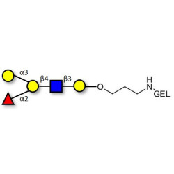 Blood group B antigen pentaose type 2 grafted on gel for affinity chromatography (Linker-GEL B)