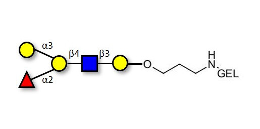 Blood group B antigen pentaose type 2 grafted on gel for affinity chromatography (Linker-GEL B)