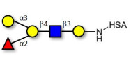 Blood group B antigen...