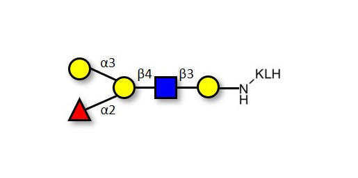 Blood group B antigen pentaose type 2 grafted on KLH
