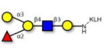 Blood group B antigen pentaose type 2 grafted on KLH