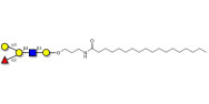 Blood group B antigen...