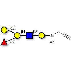 Blood group B antigen pentaose type 2 with terminal alkyne (Linker-CΞCH A)