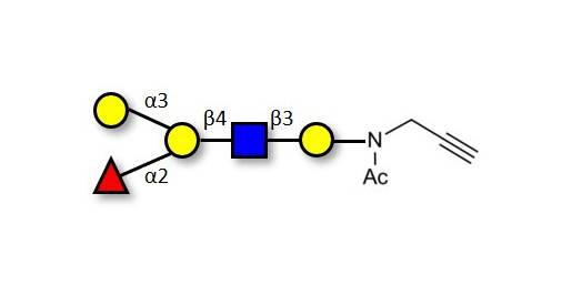 Blood group B antigen pentaose type 2 with terminal alkyne (Linker-CΞCH A)