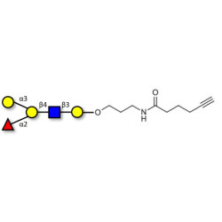 Blood group B antigen pentaose type 2 with terminal alkyne (Linker-CΞCH C)