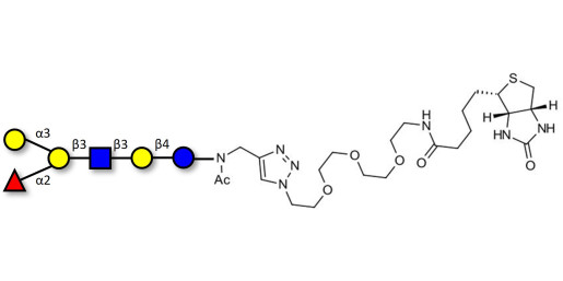 Blood group B antigen hexaose type 1 linked to biotin (Linker-BT A) - GLY040-1-NAc-sp3-Bt