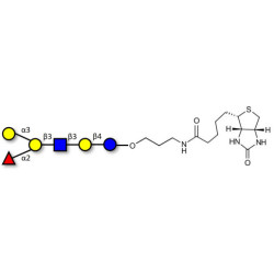 Blood group B antigen hexaose type 1 linked to biotin (Linker-BT B)
