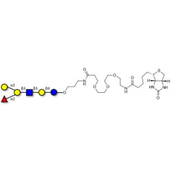 Blood group B antigen hexaose type 1 linked to biotin (Linker-BT C)