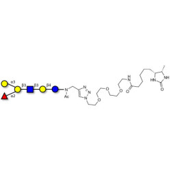 Blood group B antigen hexaose type 1 linked to desthiobiotin (Linker-DBT-A)