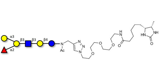 Blood group B antigen hexaose type 1 linked to desthiobiotin (Linker-DBT-A)