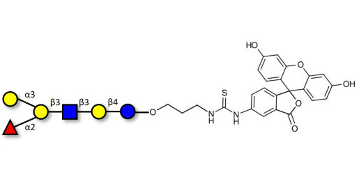 Blood group B antigen hexaose type 1 linked to fluorescein (Linker-FLUO A)