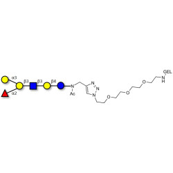 Blood group B antigen hexaose type 1 grafted on gel for affinity chromatography (Linker-GEL A)