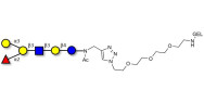Blood group B antigen...