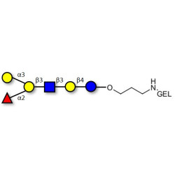 Blood group B antigen hexaose type 1 grafted on gel for affinity chromatography (Linker-GEL B)
