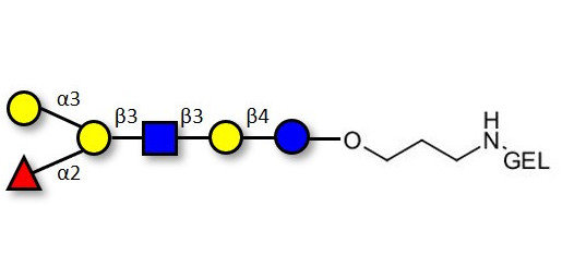 Blood group B antigen hexaose type 1 grafted on gel for affinity chromatography (Linker-GEL B)