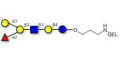 Blood group B antigen hexaose type 1 grafted on gel for affinity chromatography (Linker-GEL B)