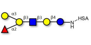 Blood group B antigen...
