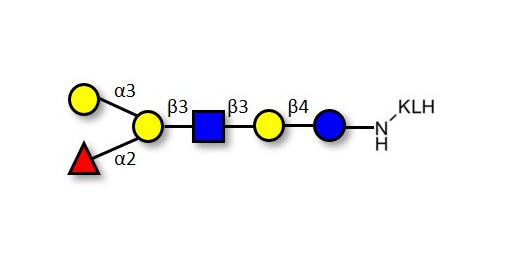 Blood group B antigen hexaose type 1 grafted on KLH