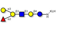 Blood group B antigen...