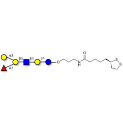 Blood group B antigen hexaose type 1 with cyclic di-thiol (Linker-LIPO A)