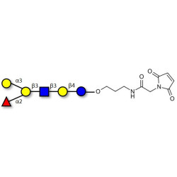 Blood group B antigen hexaose type 1 linked to maleimide (Linker-MAL A)