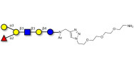 Blood group B antigen...