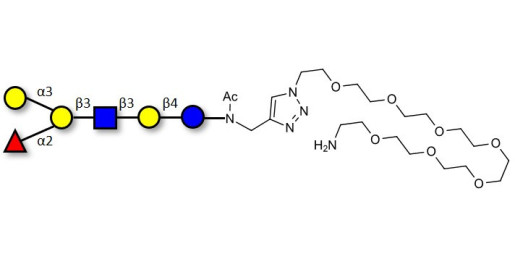 Blood group B antigen hexaose type 1 with free terminal amine (Linker-NH2 C) - GLY040-1-NAc-sp2-NH2