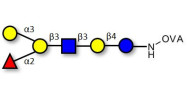 Blood group B antigen...
