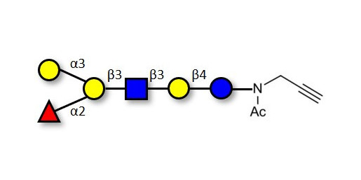 Blood group B antigen hexaose type 1 with terminal alkyne (Linker-CΞCH A) - GLY040-1-NPR