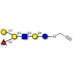 Blood group B antigen hexaose type 1 with terminal alkyne (Linker-CΞCH B)