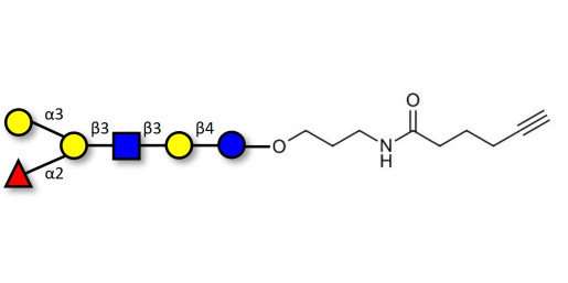 Blood group B antigen hexaose type 1 with terminal alkyne (Linker-CΞCH C)