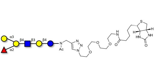 Blood group B antigen hexaose type 2 linked to biotin (Linker-BT A)
