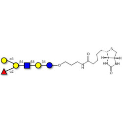 Blood group B antigen hexaose type 2 linked to biotin (Linker-BT B)