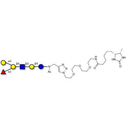 Blood group B antigen hexaose type 2 linked to desthiobiotin (Linker-DBT-A)