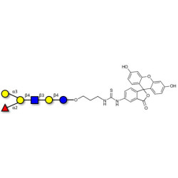 Blood group B antigen hexaose type 2 linked to fluorescein (Linker-FLUO A)