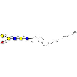 Blood group B antigen hexaose type 2 grafted on gel for affinity chromatography (Linker-GEL A)