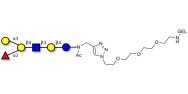 Blood group B antigen...
