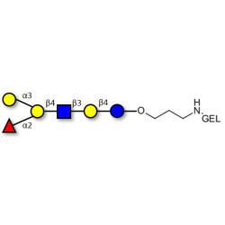 Blood group B antigen hexaose type 2 grafted on gel for affinity chromatography (Linker-GEL B)