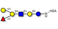 Blood group B antigen...