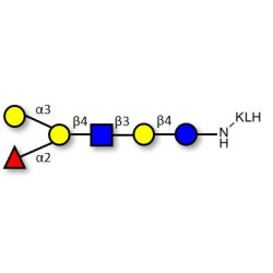 Blood group B antigen hexaose type 2 grafted on KLH