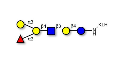 Blood group B antigen hexaose type 2 grafted on KLH
